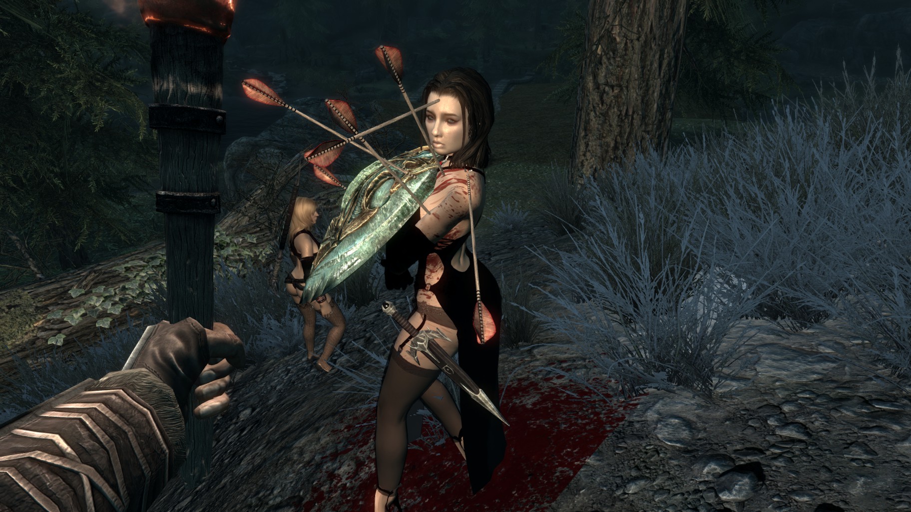skyrim моды на шлюх skyrim моды на шлюх
